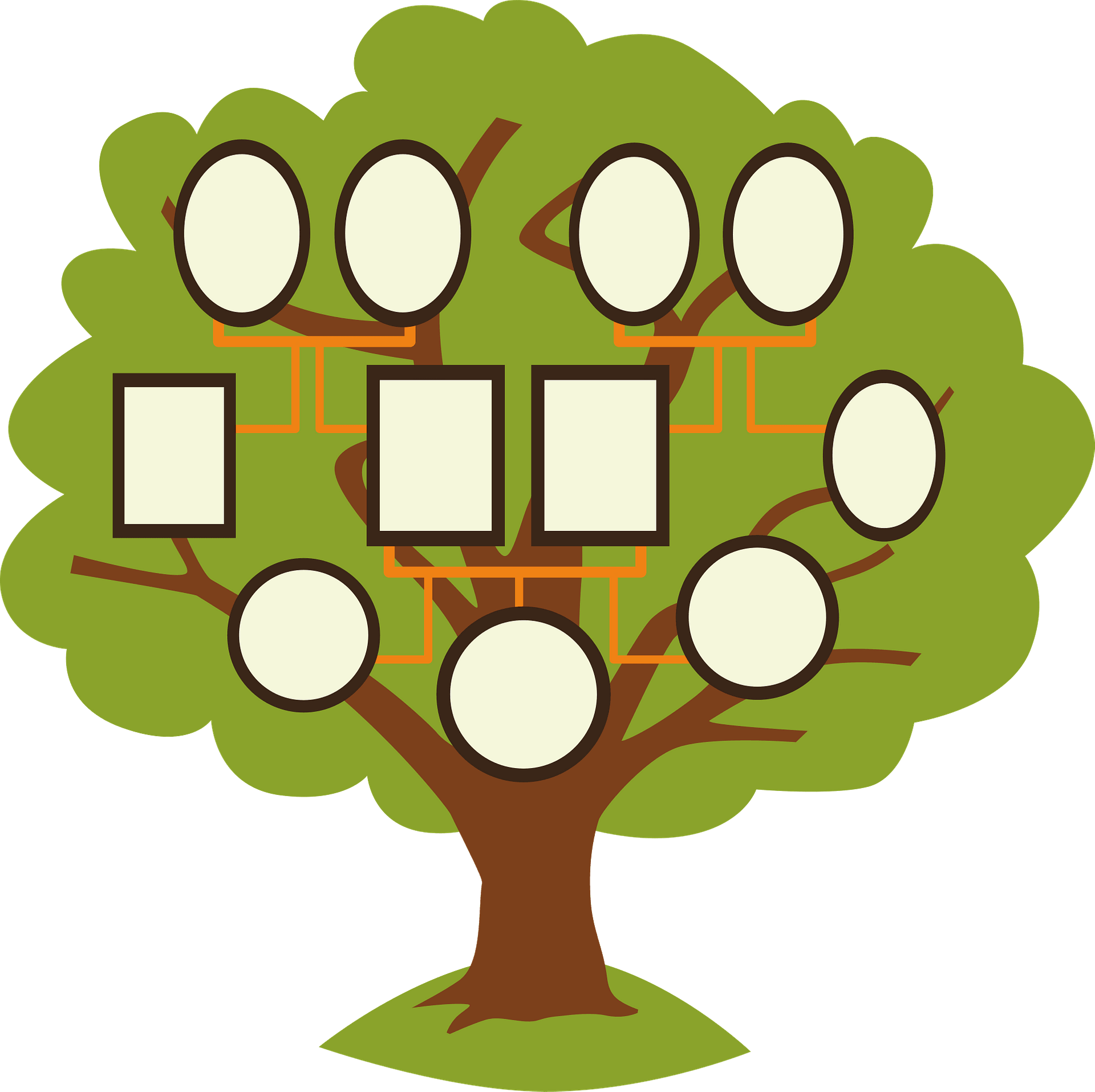 Family Tree Icon